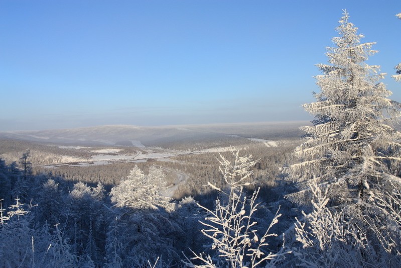 Фото сделанное пользователем Wlad