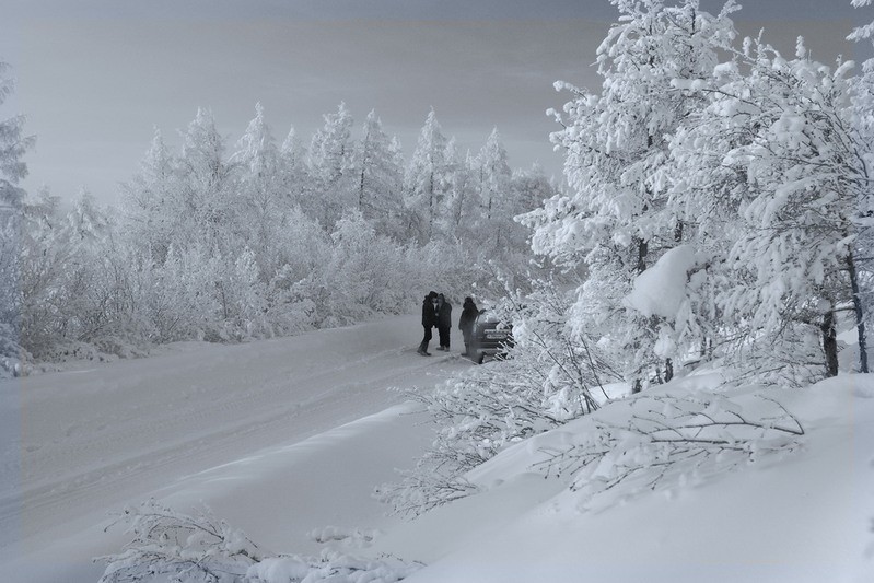 Фото сделанное пользователем Wlad