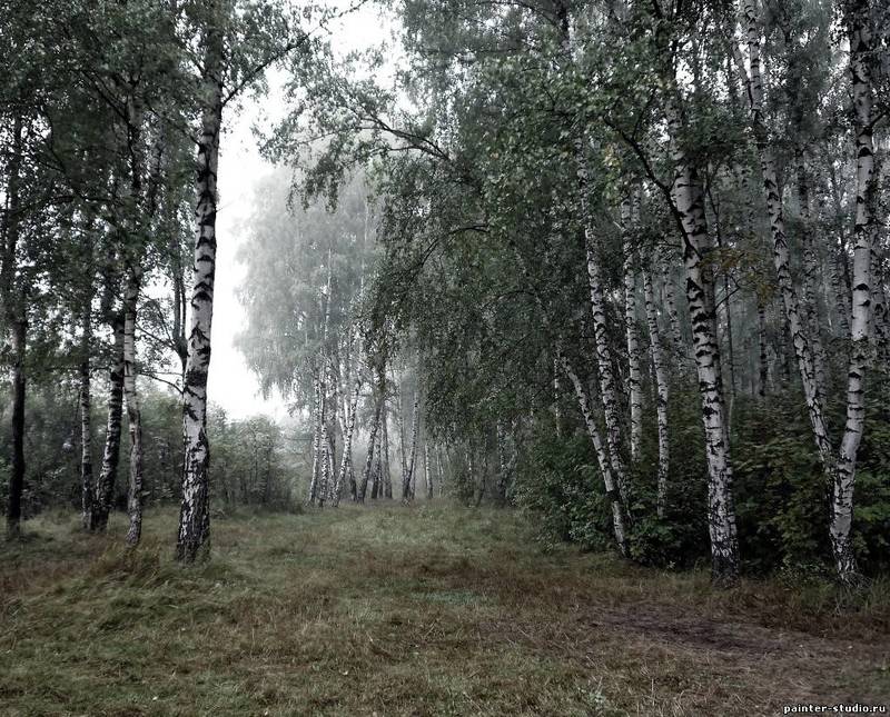 Фото сделанное пользователем panpetroff