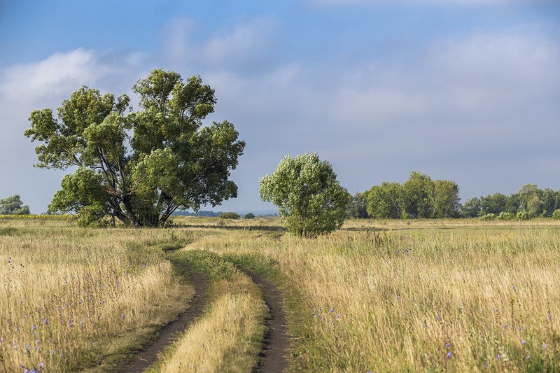 Фото сделанное пользователем Monarh