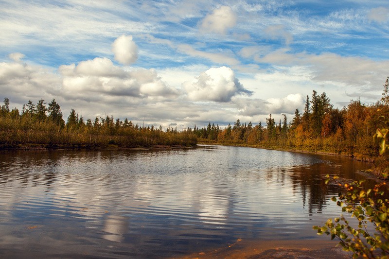 Фото сделанное пользователем Vasiliy_s58