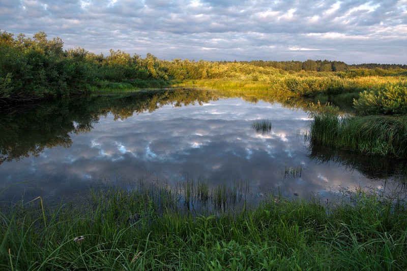 Фото сделанное пользователем zxc