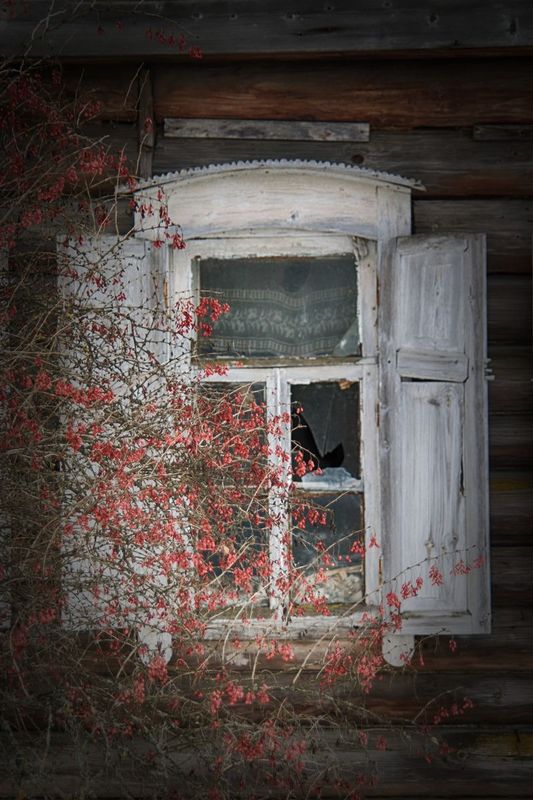 Фото сделанное пользователем Alexice