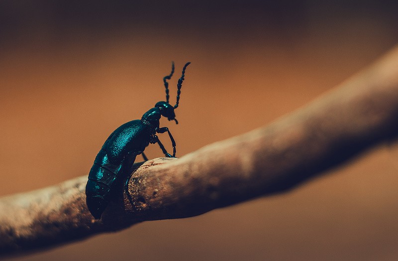 Фото сделанное пользователем Zet
