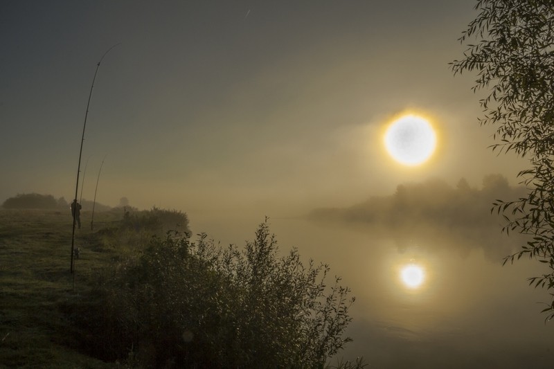 Фото сделанное пользователем Alexs