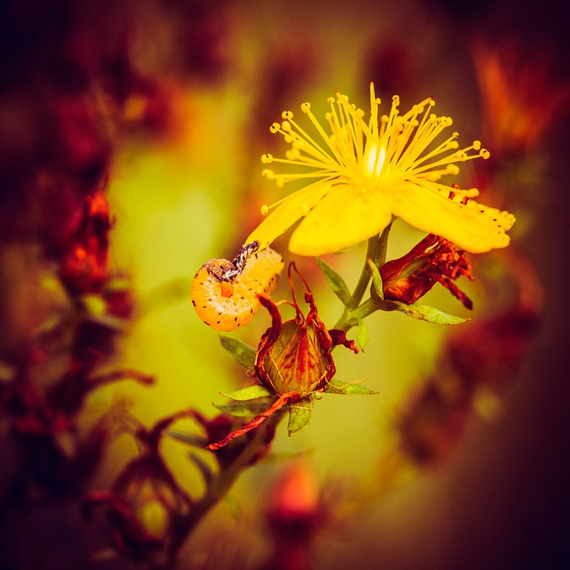 Фото сделанное пользователем Michael_Korvin