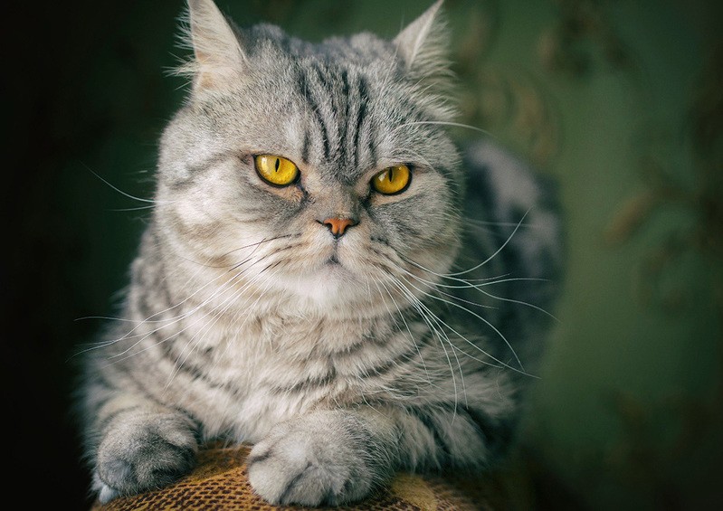 Фото сделанное пользователем MENrus