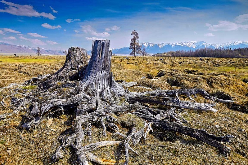 Фото сделанное пользователем akachurin1