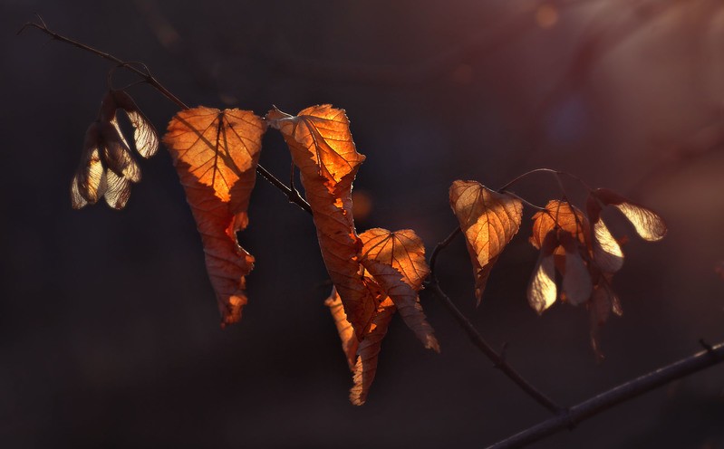 Фото сделанное пользователем akachurin1