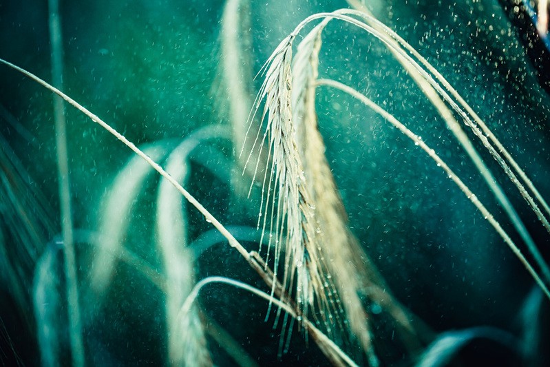 Фото сделанное пользователем Michael_Korvin