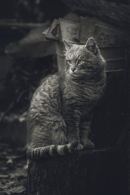 Фото сделанное пользователем Е. Дмитрий