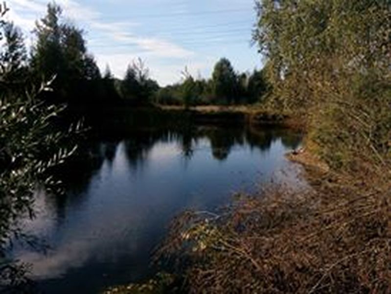 Фото сделанное пользователем eu3ld